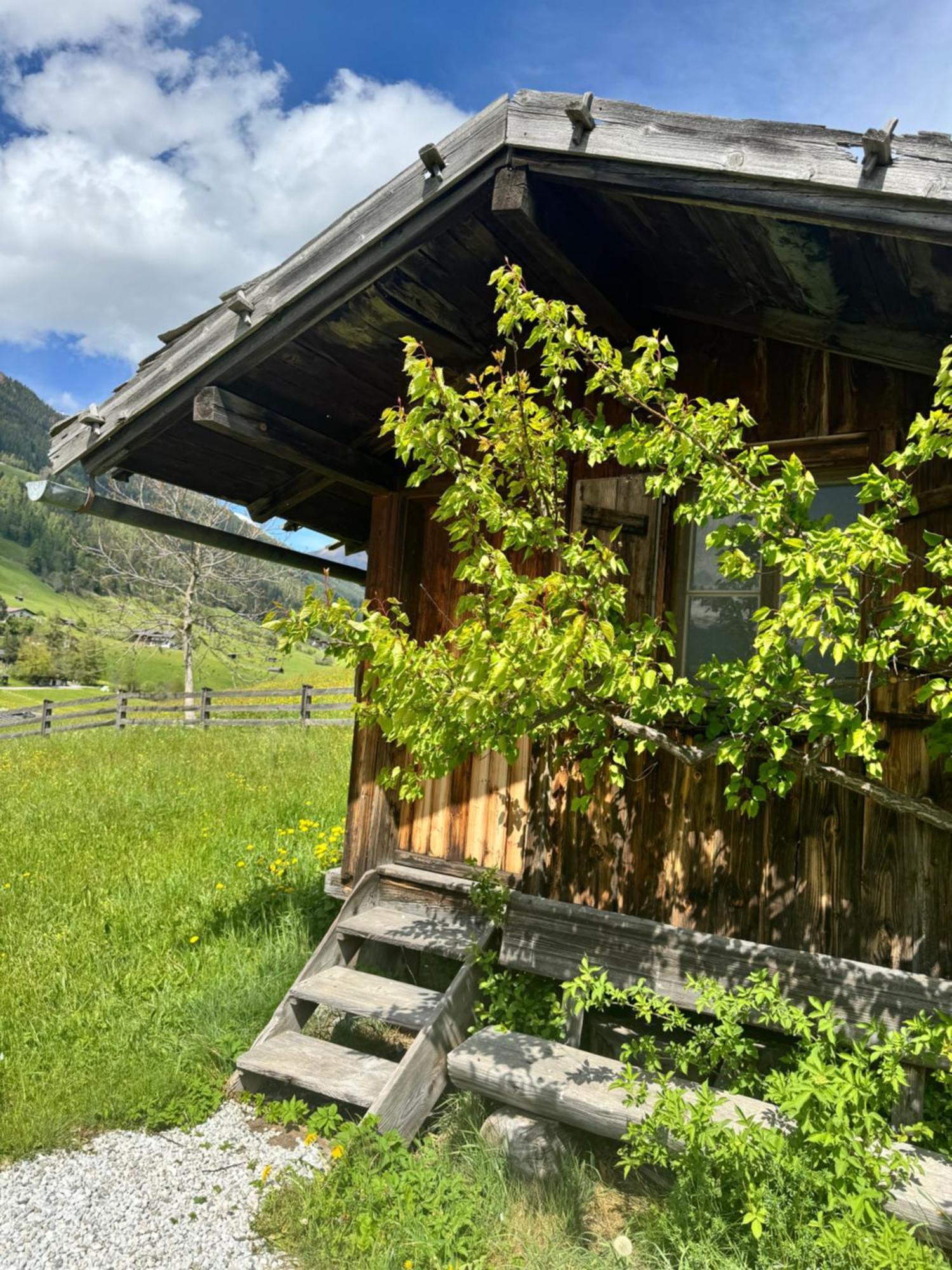 Haus Ilmer Neustift im Stubaital Exteriér fotografie